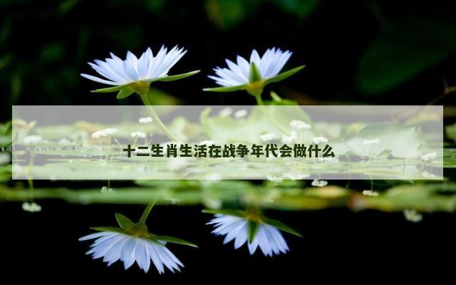 十二生肖生活在战争年代会做什么