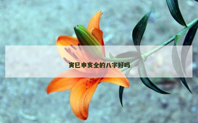 寅巳申亥全的八字好吗