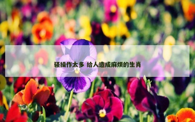 骚操作太多 给人造成麻烦的生肖