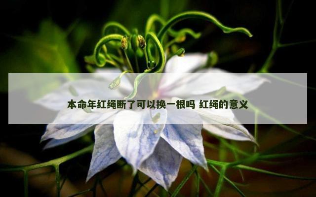 本命年红绳断了可以换一根吗 红绳的意义