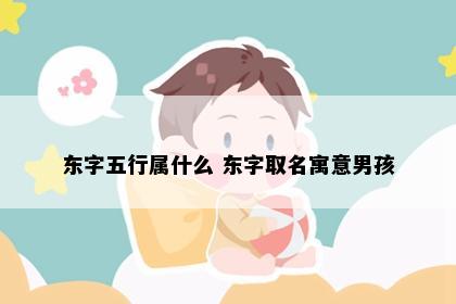 东字五行属什么 东字取名寓意男孩