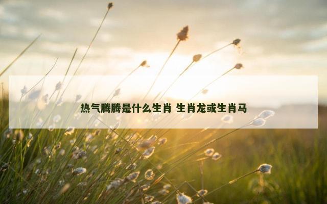 热气腾腾是什么生肖 生肖龙或生肖马