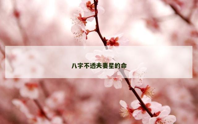 八字不透夫妻星的命