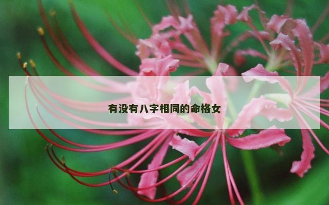 有没有八字相同的命格女