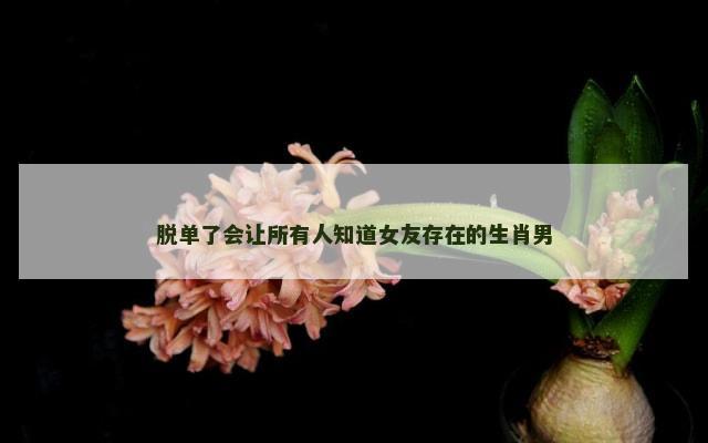 脱单了会让所有人知道女友存在的生肖男
