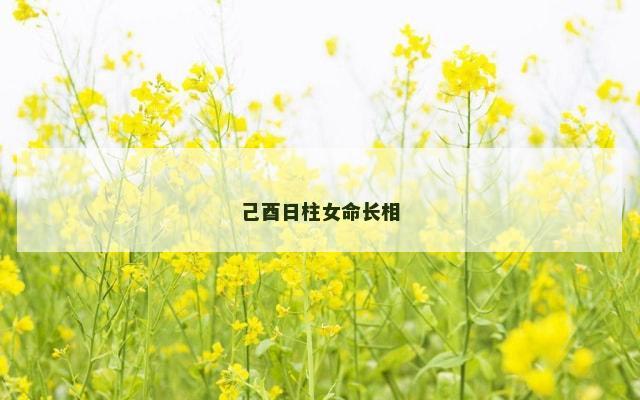 己酉日柱女命长相