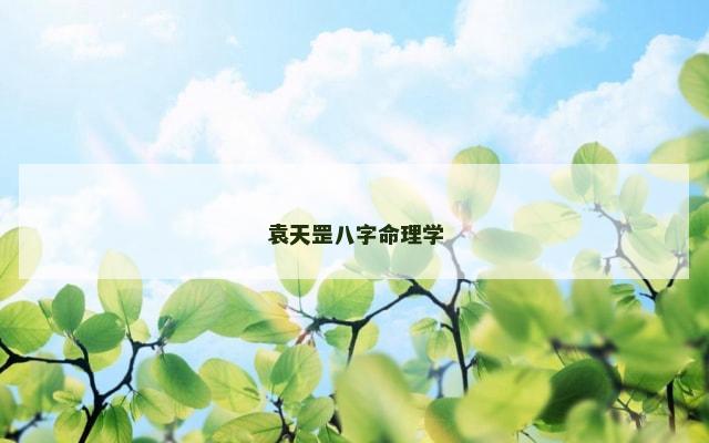袁天罡八字命理学