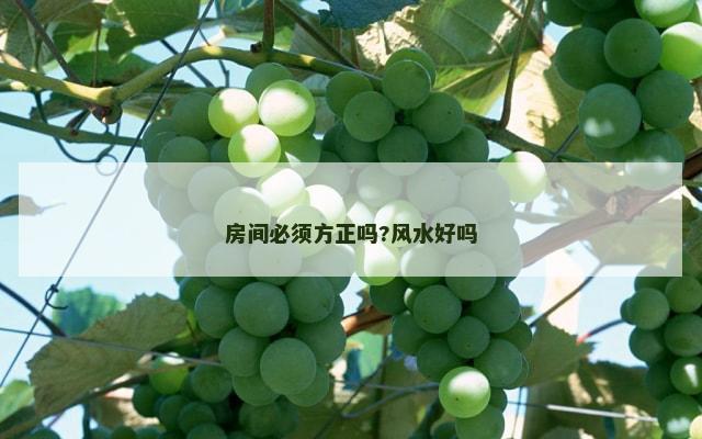 房间必须方正吗?风水好吗