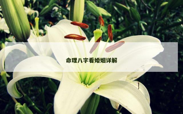 命理八字看婚姻详解
