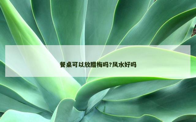 餐桌可以放腊梅吗?风水好吗