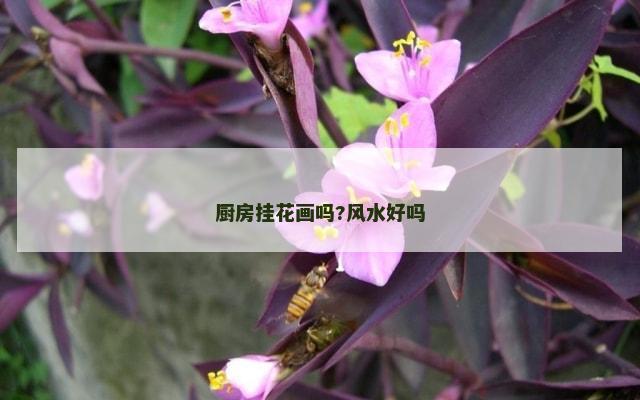 厨房挂花画吗?风水好吗