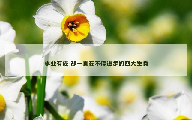 事业有成 却一直在不停进步的四大生肖