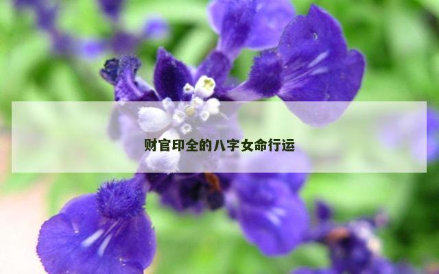 财官印全的八字女命行运