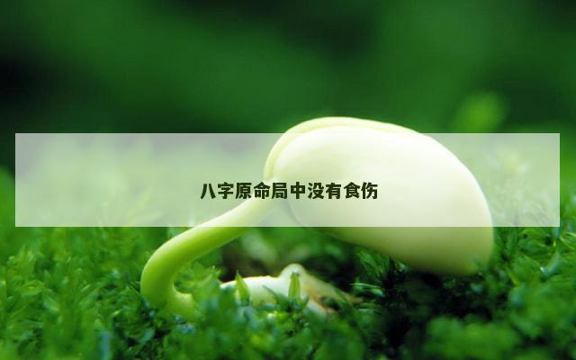 八字原命局中没有食伤