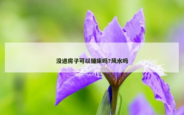 没进房子可以铺床吗?风水吗