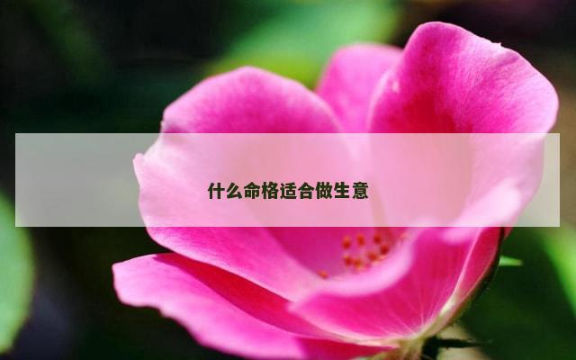什么命格适合做生意