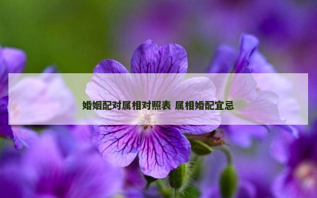 婚姻配对属相对照表 属相婚配宜忌
