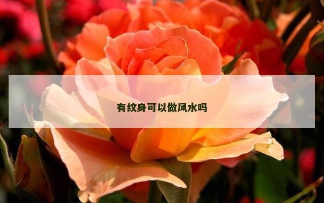 有纹身可以做风水吗