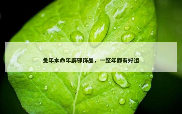 兔年本命年辟邪饰品，一整年都有好运