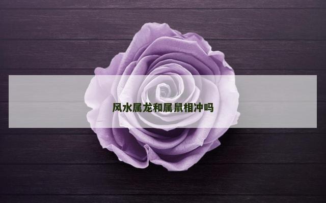 风水属龙和属鼠相冲吗