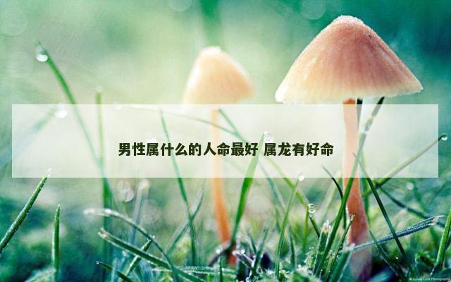 男性属什么的人命最好 属龙有好命