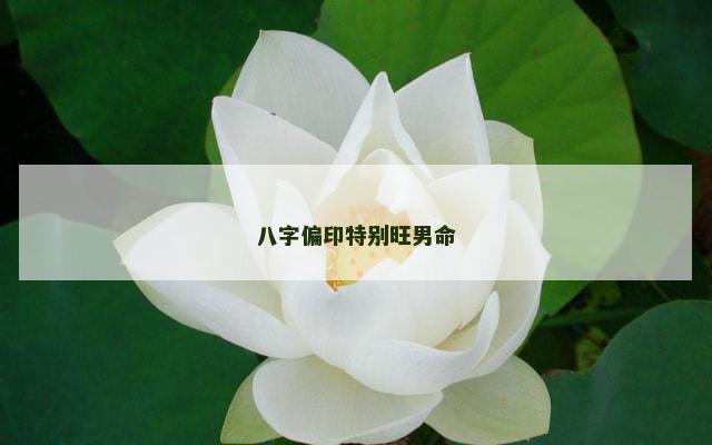 八字偏印特别旺男命