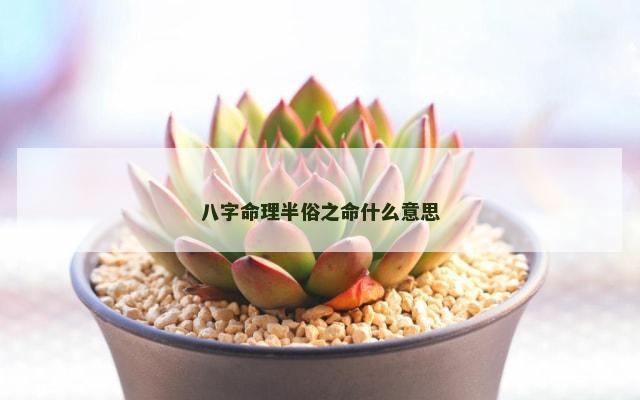 八字命理半俗之命什么意思