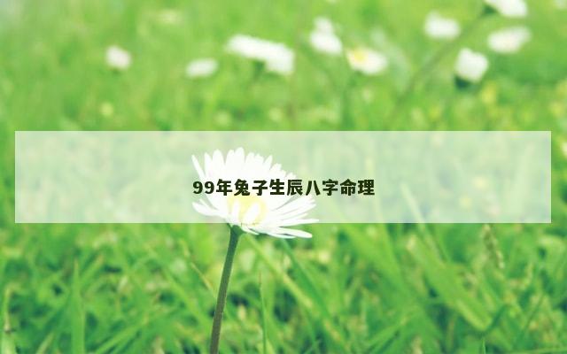 99年兔子生辰八字命理