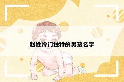 赵姓冷门独特的男孩名字