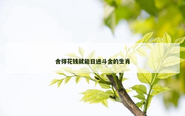 舍得花钱就能日进斗金的生肖