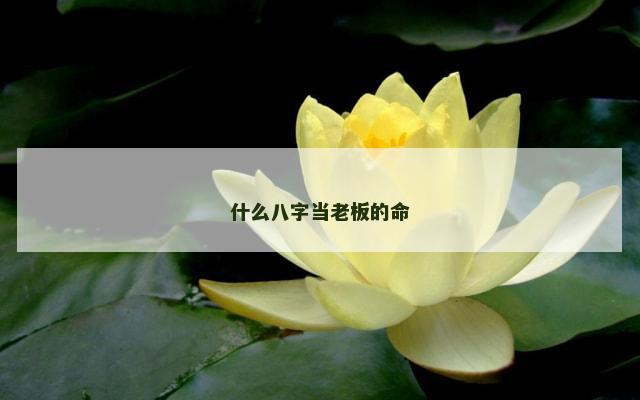 什么八字当老板的命