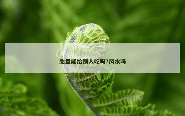 胎盘能给别人吃吗?风水吗