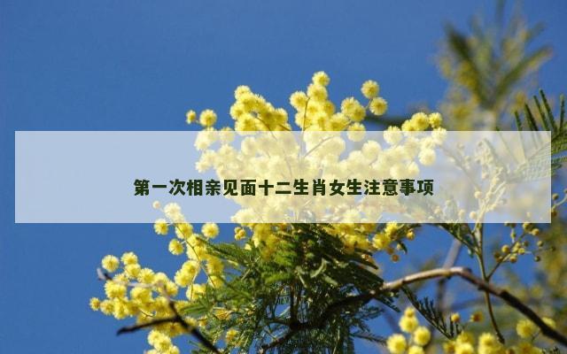 第一次相亲见面十二生肖女生注意事项