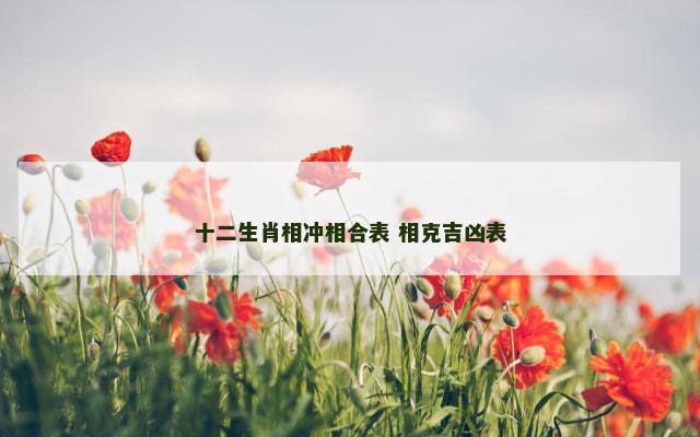 十二生肖相冲相合表 相克吉凶表