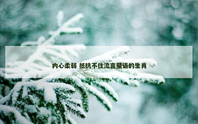 内心柔弱 抵抗不住流言蜚语的生肖