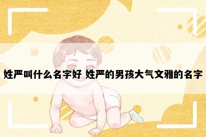 姓严叫什么名字好 姓严的男孩大气文雅的名字