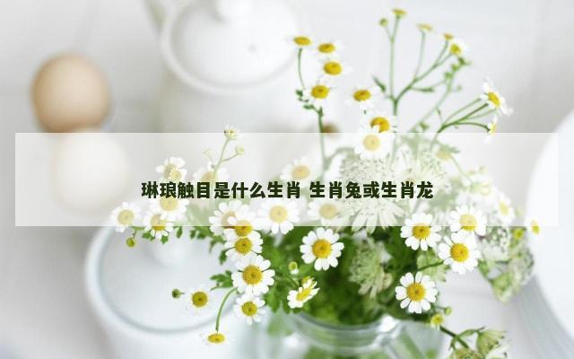琳琅触目是什么生肖 生肖兔或生肖龙