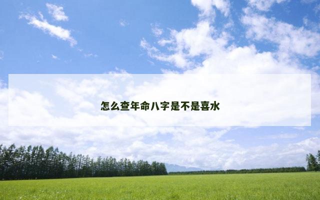 怎么查年命八字是不是喜水