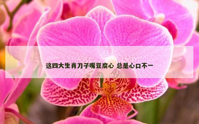 这四大生肖刀子嘴豆腐心 总是心口不一