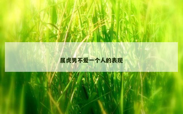 属虎男不爱一个人的表现