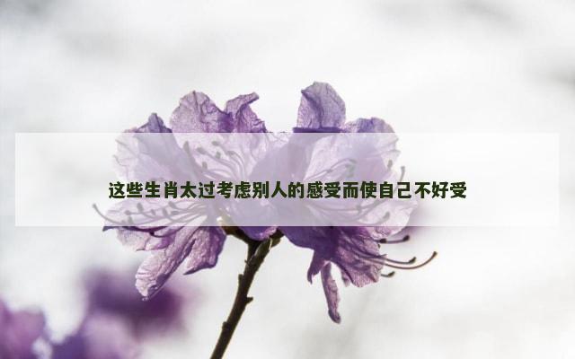 这些生肖太过考虑别人的感受而使自己不好受