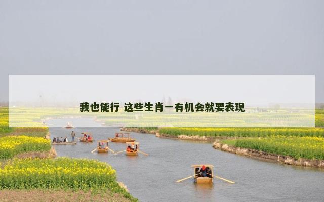 我也能行 这些生肖一有机会就要表现