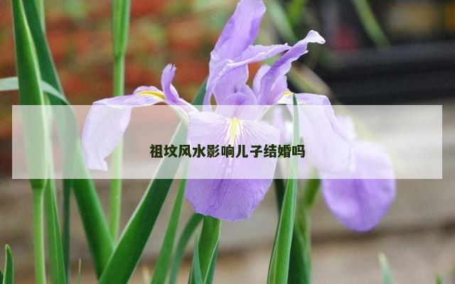 祖坟风水影响儿子结婚吗