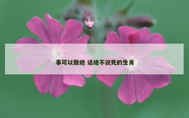 事可以做绝 话绝不说死的生肖