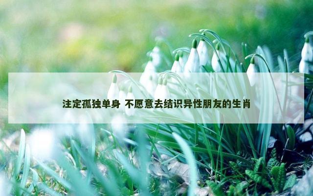 注定孤独单身 不愿意去结识异性朋友的生肖