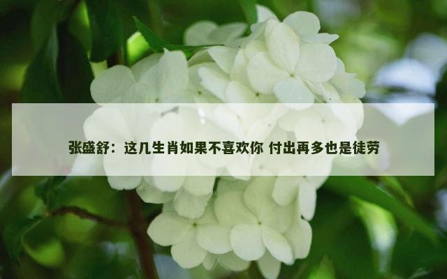 张盛舒：这几生肖如果不喜欢你 付出再多也是徒劳