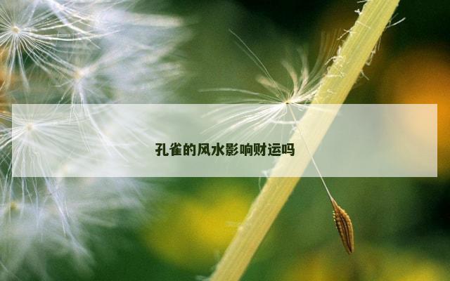孔雀的风水影响财运吗