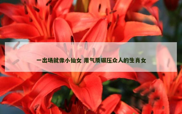 一出场就像小仙女 用气质碾压众人的生肖女
