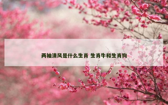 两袖清风是什么生肖 生肖牛和生肖狗