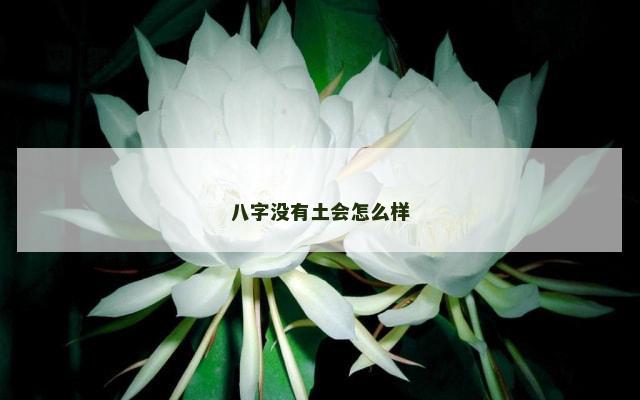 八字没有土会怎么样